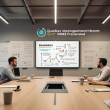 raubex group quality management system qms framework (1)