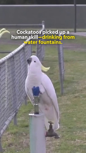 zWzpcL6R7D0lcnyM.jpg