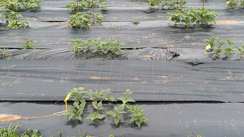 YyehiiwCdaLJ nJX.jpg