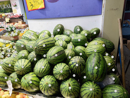 image.1