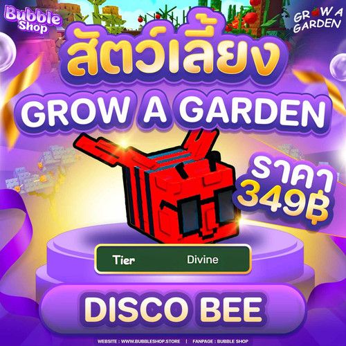 Disco Bee 349 บาท.1