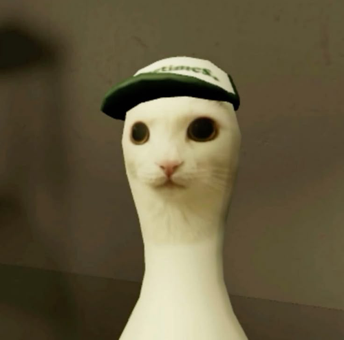 IMG 3413.png