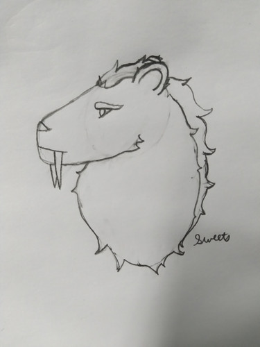 20250711 105044.jpg