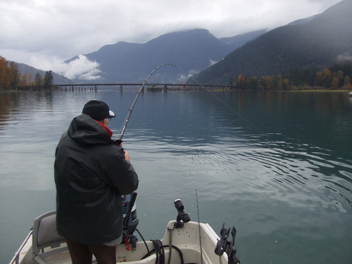 2016 1027finepix0099.jpg