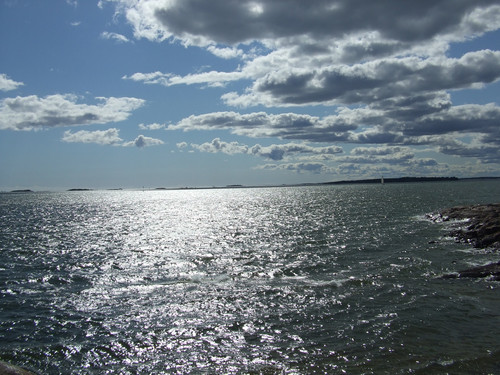 2015 1024finepix0271.jpg