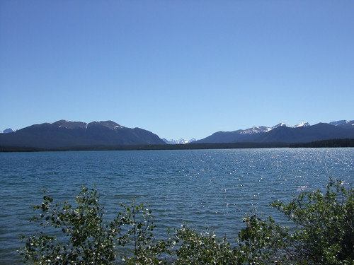 june 2015 026.jpg