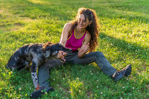young pretty dog trainer training her italian lagorai sheperd dog public park 1048944 30957610.jpg