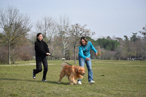 young girl with dog s coach training his dog 829566 13.jpg