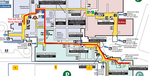 GEN Main goto Cancer Center Psychosocial Oncology.png