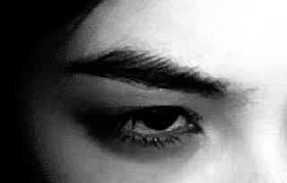 file 12887.jpg