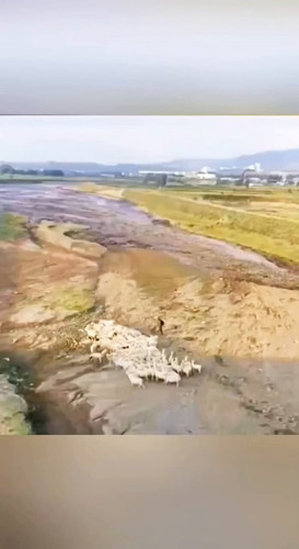 HegqmfGiDd4bPIDN.jpg
