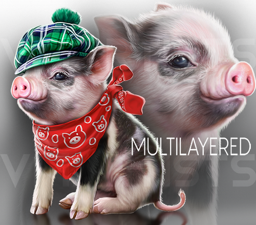 Piggy VMA.png