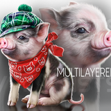 Piggy VMA