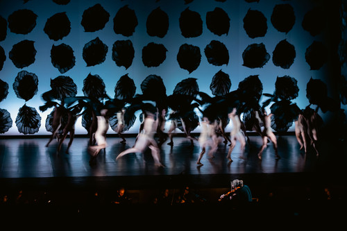 The Seasons Ballet