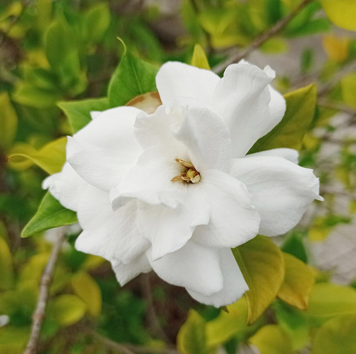 nature 7710853 1920.jpg