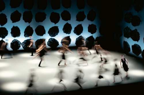 The Seasons Ballet