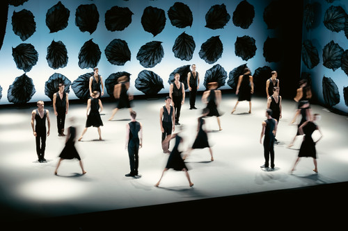 The Seasons Ballet