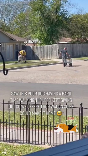 SUEOJrdavgtkGqD7.jpg