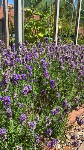 6HFjFD 9WAcY6SkW.jpg