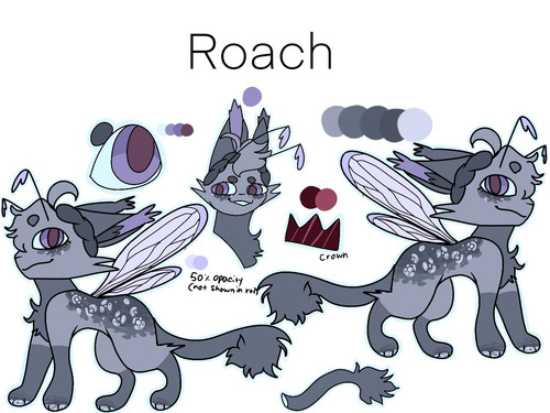 Roach ref.jpg