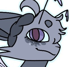 roach head.jpg