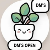 Screenshot 2025 07 11 at 5.29.52 PM.png