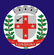 Captura de tela 2025 07 11 214256.png