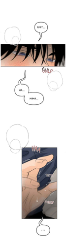 13.png