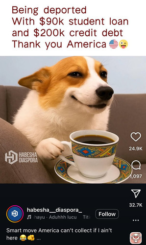 GvnXa4qWQAAxz66.jpg