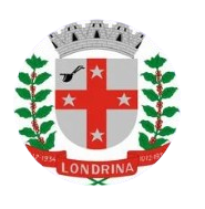 Captura de tela 2025 07 11 214256 removebg preview.png