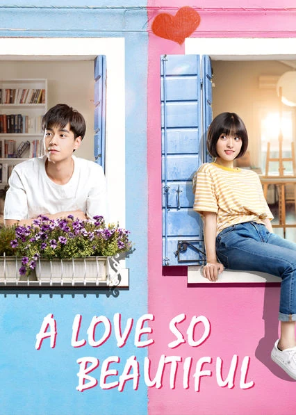 A Love So Beautiful 2017.webp