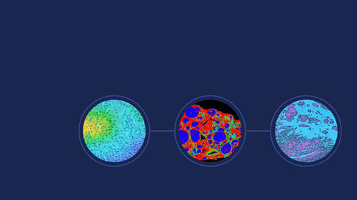 tmgv kT4BJKHQGwd.jpg