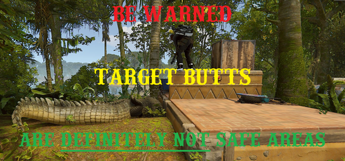 Target Butt Safety.png