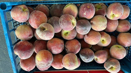 UyKRSWc6elkniS7XpDQrNF49rIj7vEayE 8sNWt3PV3SwoyNzbN73VzfC2O7Wbr40 6H1M1i4enR1WorC53uNX1BVZYRrHNQf8qb.jpg