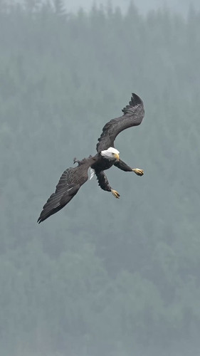 QXm 57jyaWrP93Qi.jpg