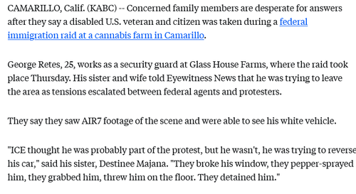 Screenshot 2025 07 11 at 15 48 49 Disabled veteran who is a US citizen was taken during Camarillo im.png