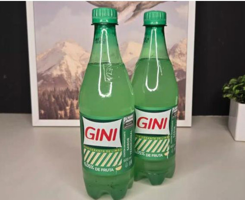 Gini.jpg