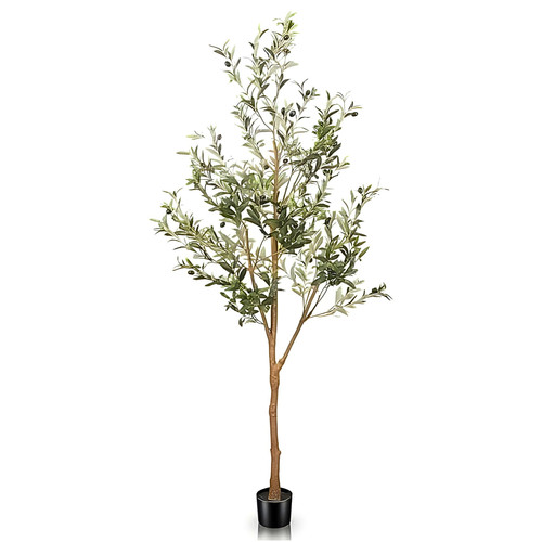 tree.jpg