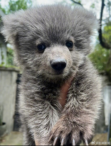 Screenshot 20250712 094232.jpg