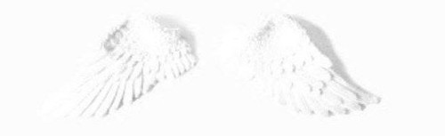 file 8692.jpg