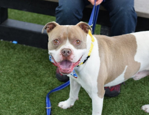 Gu UGjZacAAHhyH?format=jpg.jpg