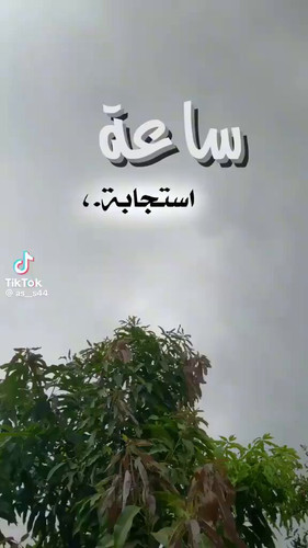 18FSA04qHrtJVMSy.jpg