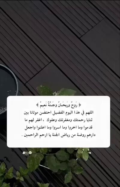x5Dd kbpZbU2A5He.jpg
