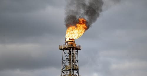 7153544243649223772?url=https%3A%2F%2F1xeber.media%2Fuploads%2Fposts%2F2025 07%2Fowl detail 620 88c2.jpg