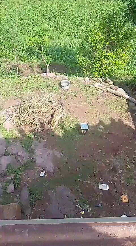 ts6A x8ixnoiTwJB.jpg