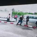 merged (31).gif
