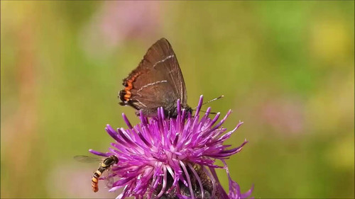 xzYi81gYT 8LD8KZ.jpg