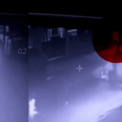 merged (2) (19).gif