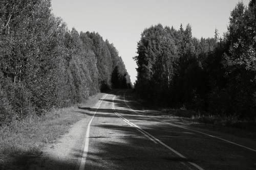 IMG 3139 1.jpg