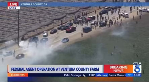 o1FEOcwy2UE16th .jpg